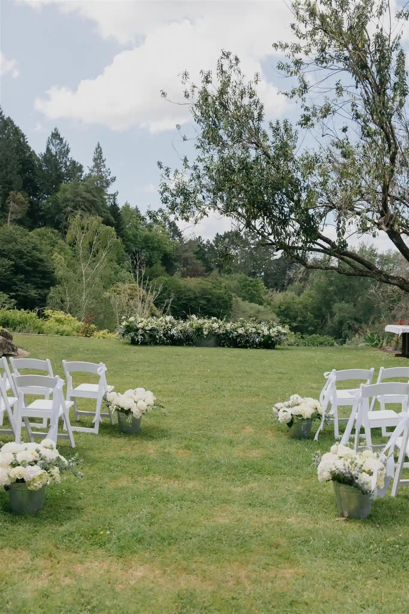 Outdoor wedding ceremony setup with white chairs and bucket flower arrangements on lawn at Gisborne arboretum