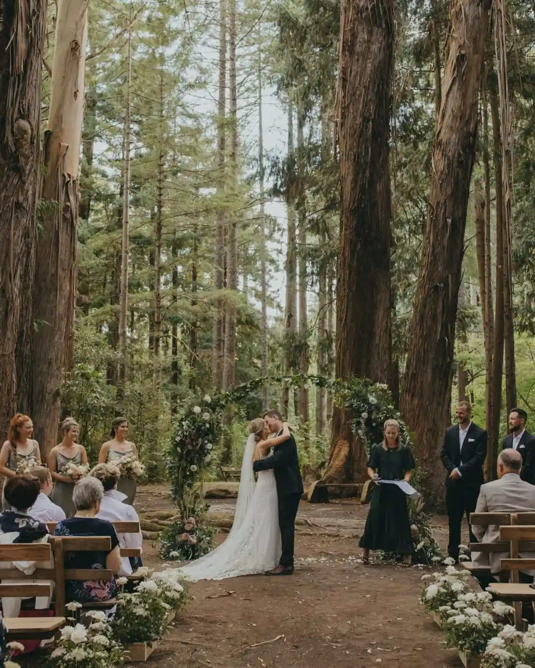 Forest wedding ceremony aisle with towering ancient trees and floral arch at Gisborne arboretum near Gisborne