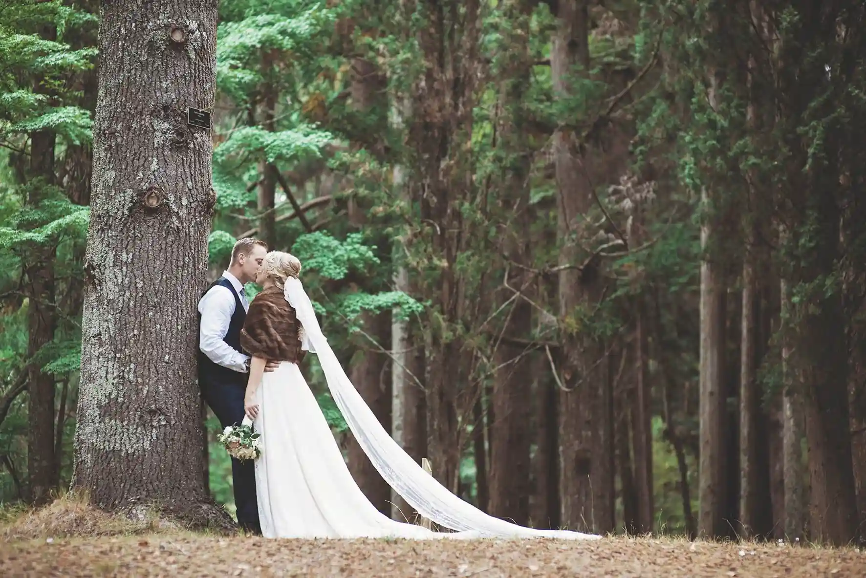 Bride and groom kissing beside giant conifer tree trunk in cathedral forest at Gisborne arboretum wedding venue