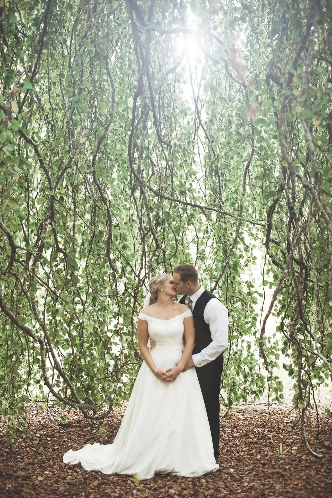 Bride and groom kissing beneath weeping tree with cascading branches at Gisborne arboretum wedding venue