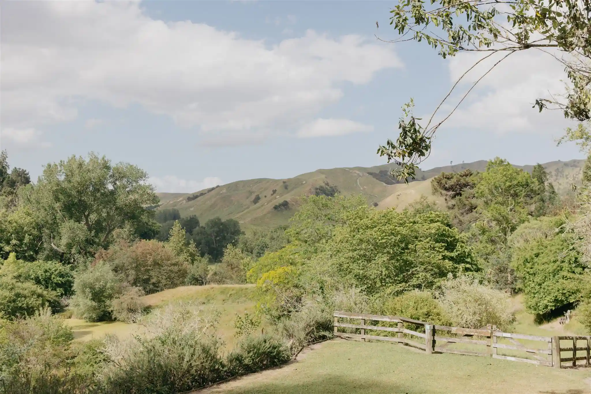 Rolling green hills and pastoral grounds of arboretum